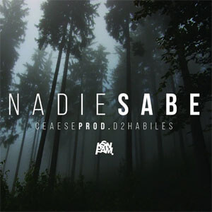 Álbum Nadie Sabe de Ceaese