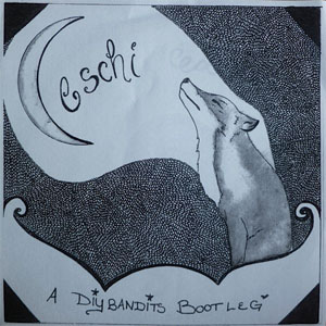 Álbum Diy Bandits  de Ceschi