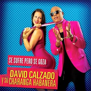 Álbum Se Sufre Pero Se Goza  de Charanga Habanera