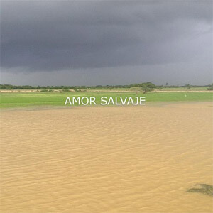 Álbum Amor Salvaje de Cholo Valderrama