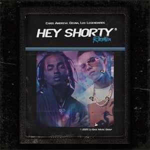 Álbum Hey Shorty (Remix) de Chris Andrew