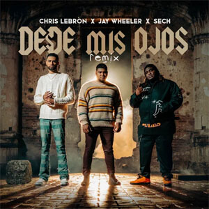 Álbum Desde Mis Ojos (Remix) de Chris Lebron
