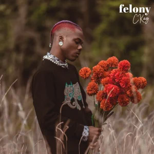 Álbum Felony de CKay