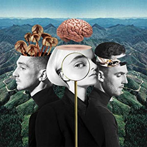 Álbum What Is Love de Clean Bandit