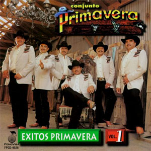 Álbum Cariño Pasajero de Conjunto Primavera