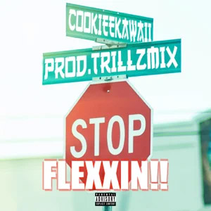 Álbum Stop Flexxin'!! de Cookiee Kawaii