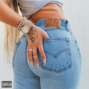 Álbum Levi High de DaniLeigh