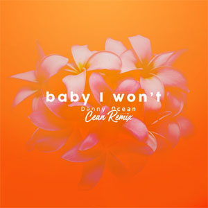 Álbum Baby I Won't (Cean Remix) de Danny Ocean