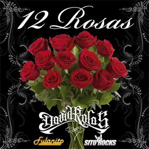 Álbum 12 Rosas de David Rolas