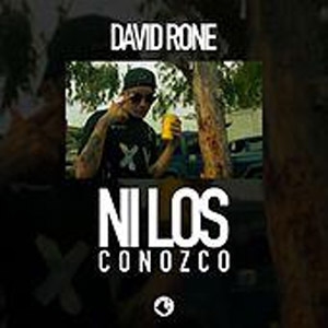 Álbum Ni los Conozco de David Rone