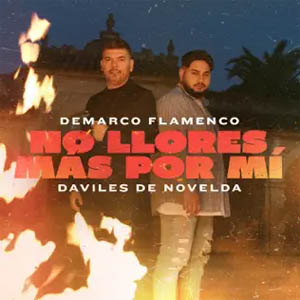 Álbum No Llores Más Por Mi de Demarco Flamenco