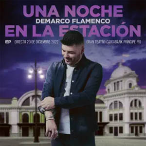 Álbum Una Noche en la Estación de Demarco Flamenco