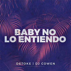 Álbum Baby No Lo Entiendo  de Detoke