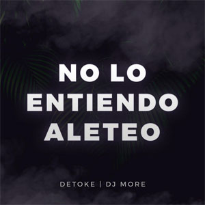 Álbum No Lo Entiendo Aleteo de Detoke