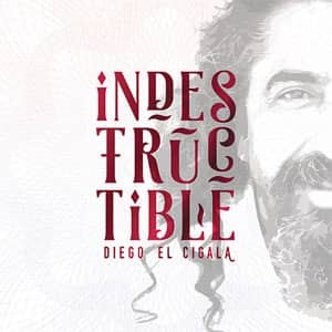 Álbum Indestructible de Diego El Cigala