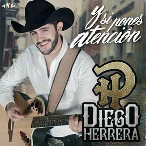 Álbum Y Si Pones Atención  de Diego Herrera