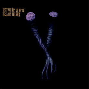 Álbum Vulgar de Dir En Grey 