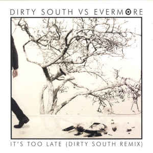 Álbum It's Too Late (Dirty South Mix) de Dirty South