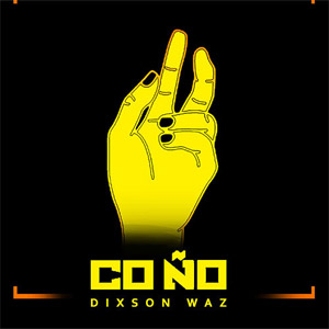 Álbum Coño de Dixson Waz