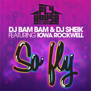 Álbum So Fly de DJ Bam Bam