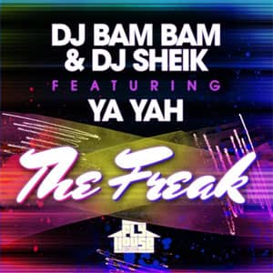 Álbum The Freak de DJ Bam Bam