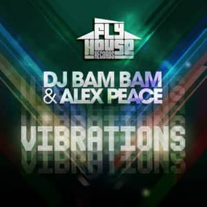 Álbum Vibrations de DJ Bam Bam