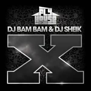 Álbum X de DJ Bam Bam