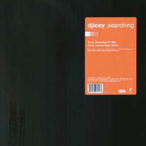 Álbum Searching de DJ Icey