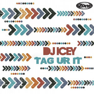 Álbum Tag Ur It de DJ Icey