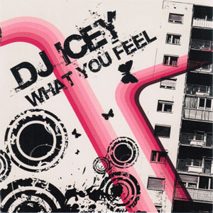 Álbum What You Feel de DJ Icey
