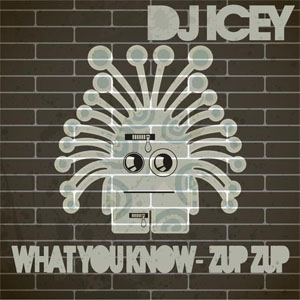 Álbum What You Know de DJ Icey