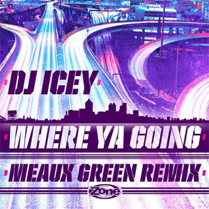 Álbum Where Ya Going de DJ Icey