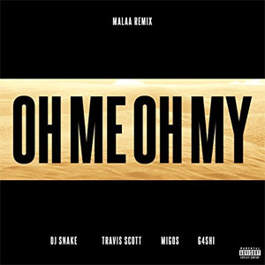 Álbum Oh Me Oh My (Malaa Remix) de DJ Snake
