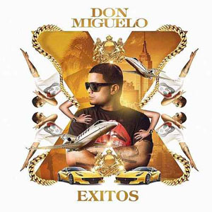 Álbum Éxitos de Don Miguelo