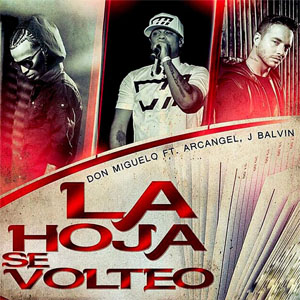Álbum La Hoja Se Volteó (Remix) de Don Miguelo