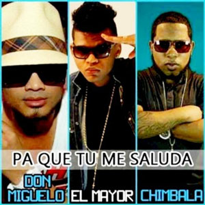 Álbum Pa Que Tu Me Saluda de Don Miguelo