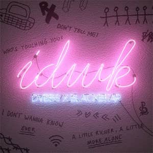 Álbum Idwk de DVBBS