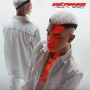 Álbum Géminis de ECKO