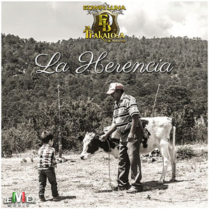 Álbum La Herencia de Edwin Luna