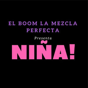 Álbum Niña de El Boom La Mezcla Perfecta