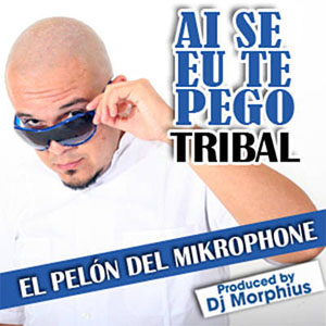 Álbum Ai Se Eu Te Pego (Tribal)  de El Pelón del Mikrophone