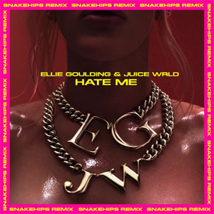 Álbum Hate Me (Snakehips Remix) de Ellie Goulding