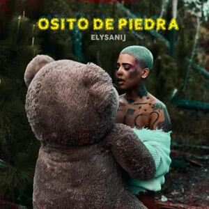 Álbum Osito de Piedra  de Elysanij