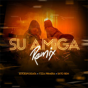 Álbum Su Amiga (Remix) de EstoeSPosdata