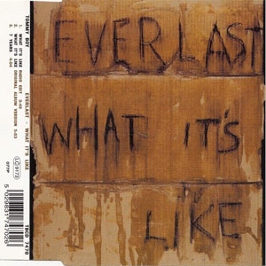 Álbum What It's Like de Everlast
