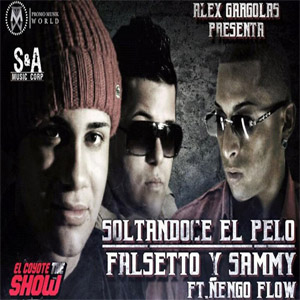 Álbum Soltándose El Pelo de Falsetto y Sammy