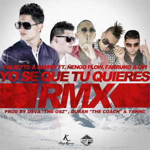 Álbum Yo Se Que Tú Quieres (Remix) de Falsetto y Sammy