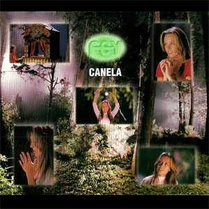 Álbum Canela de Fey