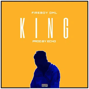 Álbum King de Fireboy DML