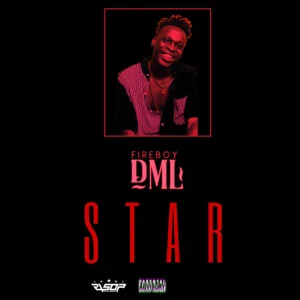 Álbum Star de Fireboy DML